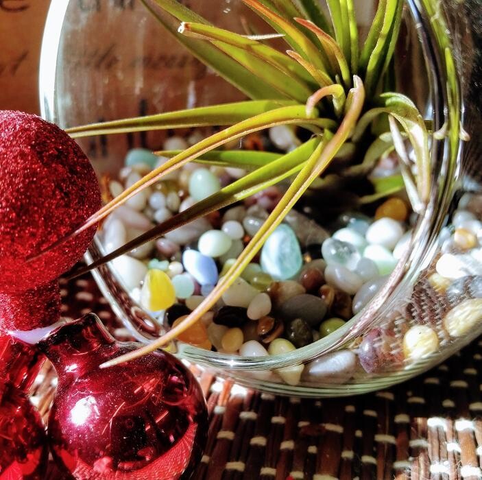 Images Little Tree Garden Market