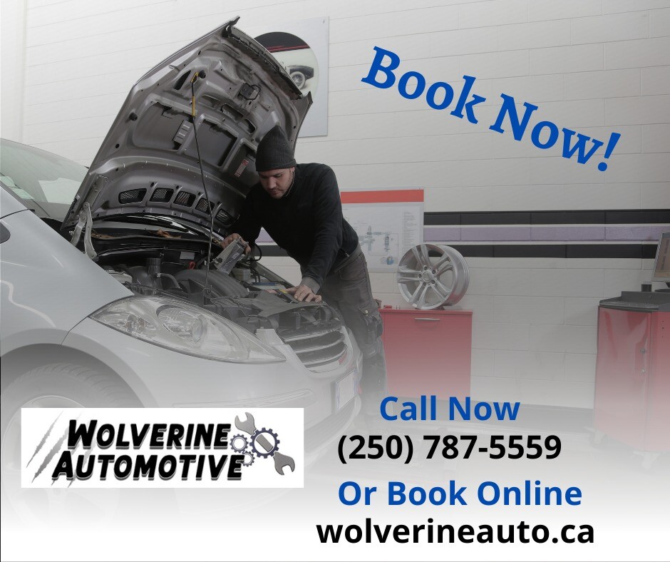 Images Wolverine Automotive