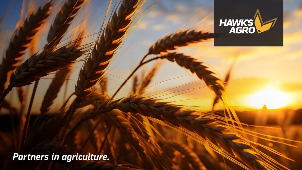 Images Hawks Agro Swift Current