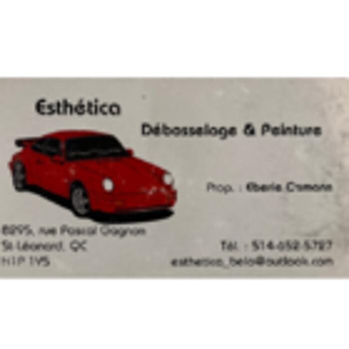 Esthetica debosselage peinture Logo