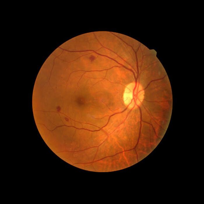 Images Dr. Bruce Coward & Associates