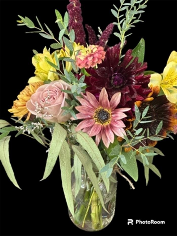 Images Brighton Backyard Blooms