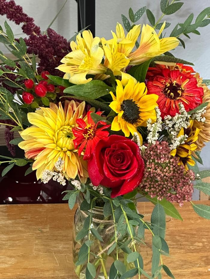 Images Brighton Backyard Blooms