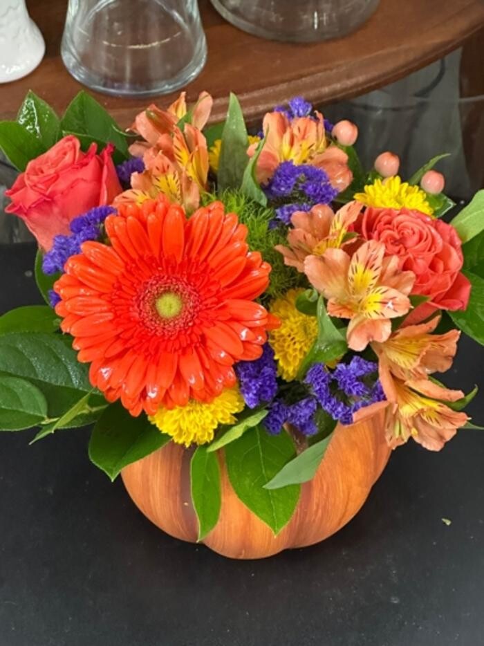 Images Brighton Backyard Blooms