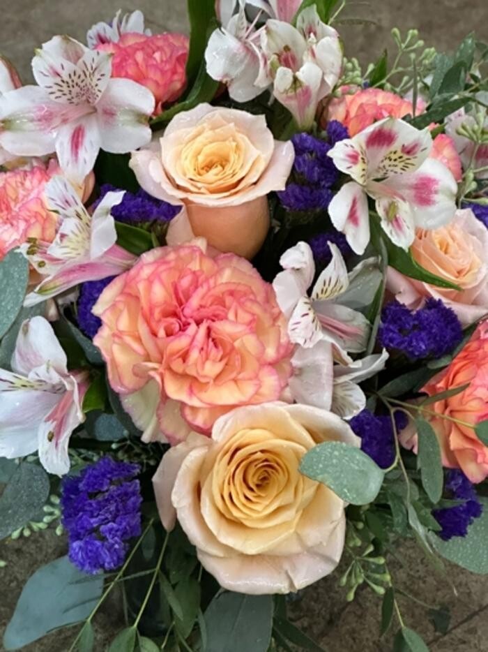 Images Brighton Backyard Blooms