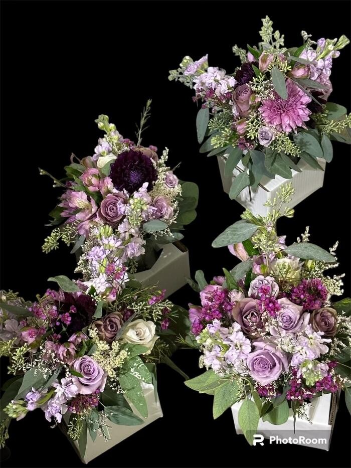 Images Brighton Backyard Blooms