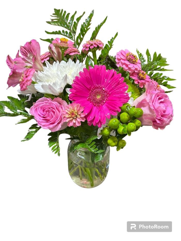 Images Brighton Backyard Blooms