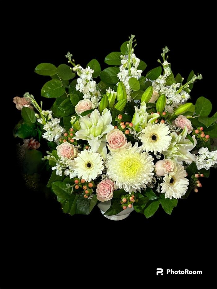 Images Brighton Backyard Blooms