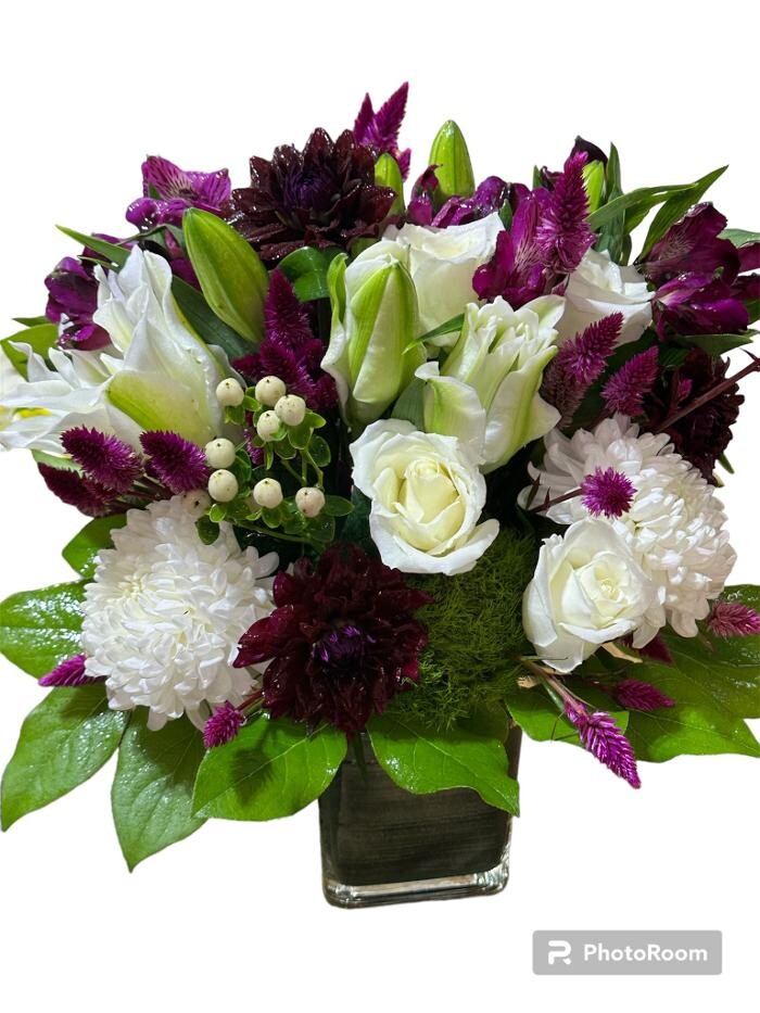 Images Brighton Backyard Blooms