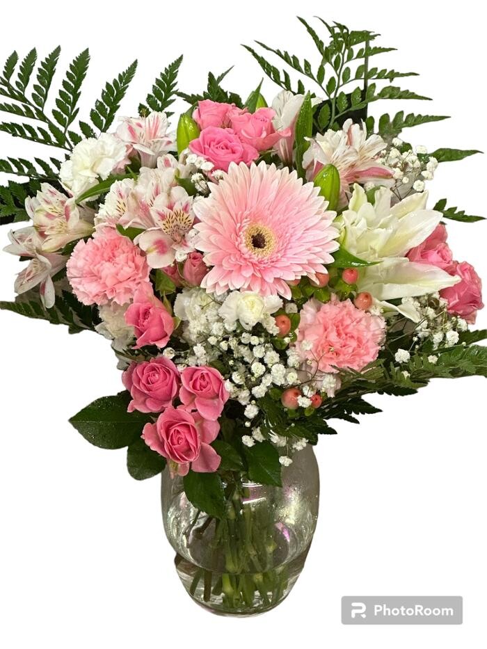 Images Brighton Backyard Blooms