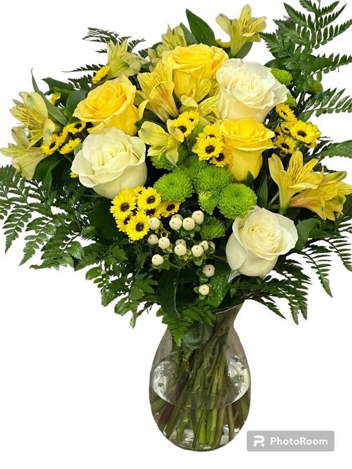 Images Brighton Backyard Blooms