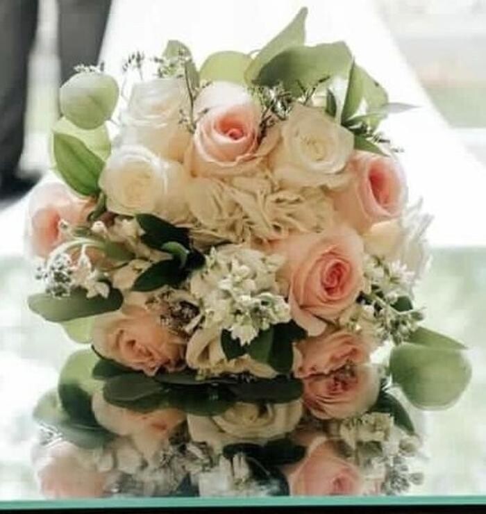 Images Brighton Backyard Blooms