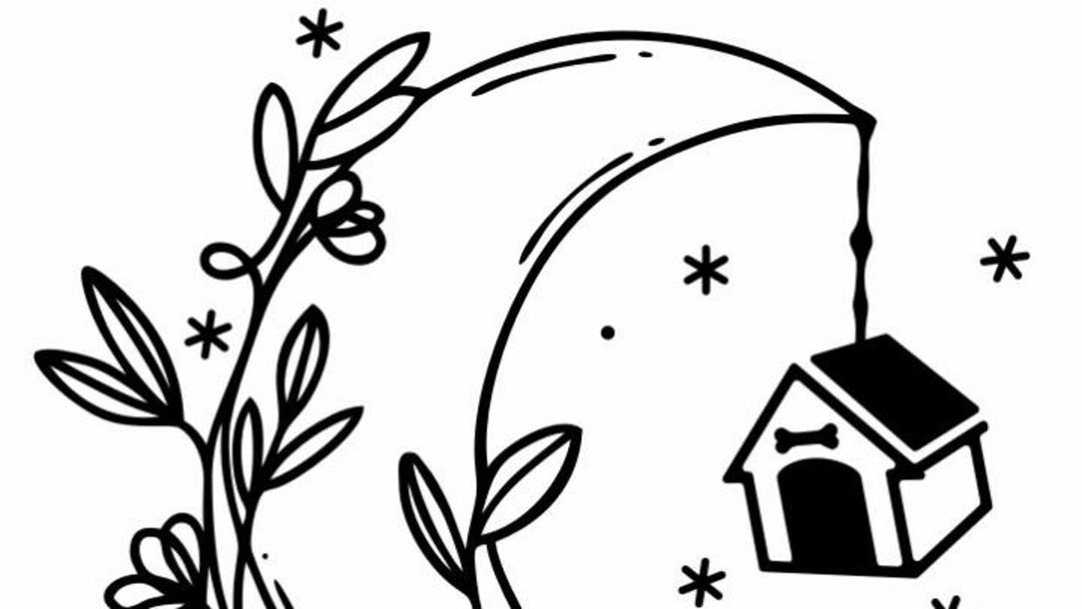 Images Home Away From Home Pet Hotel