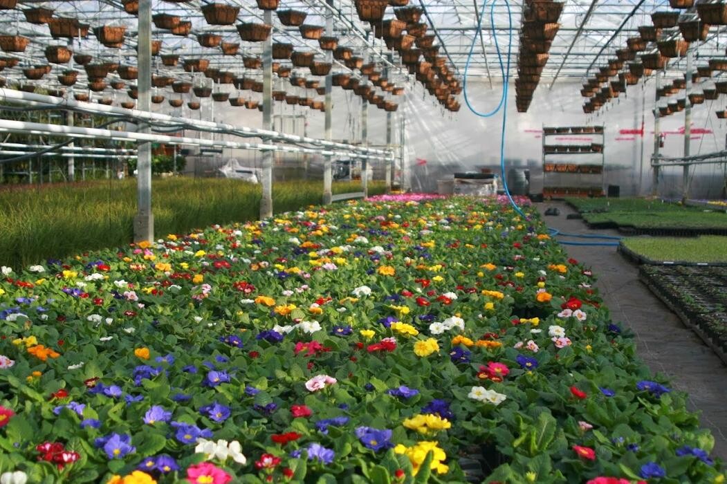 Images Little Mountain Garden Centre & Florist