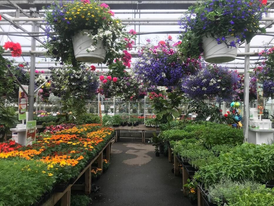 Images Little Mountain Garden Centre & Florist