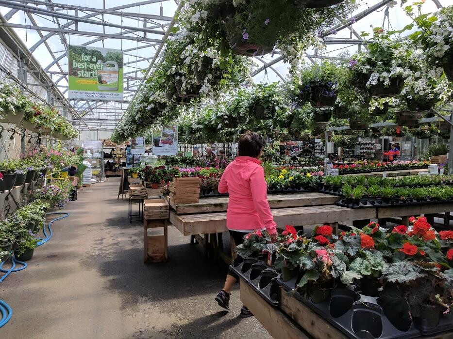 Images Little Mountain Garden Centre & Florist