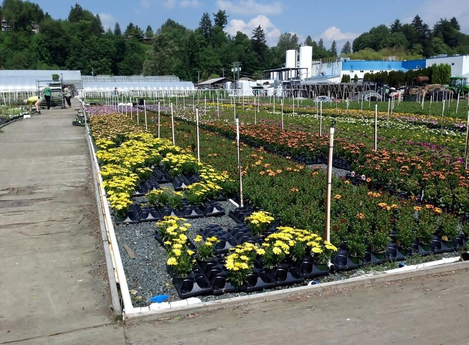 Images Little Mountain Garden Centre & Florist