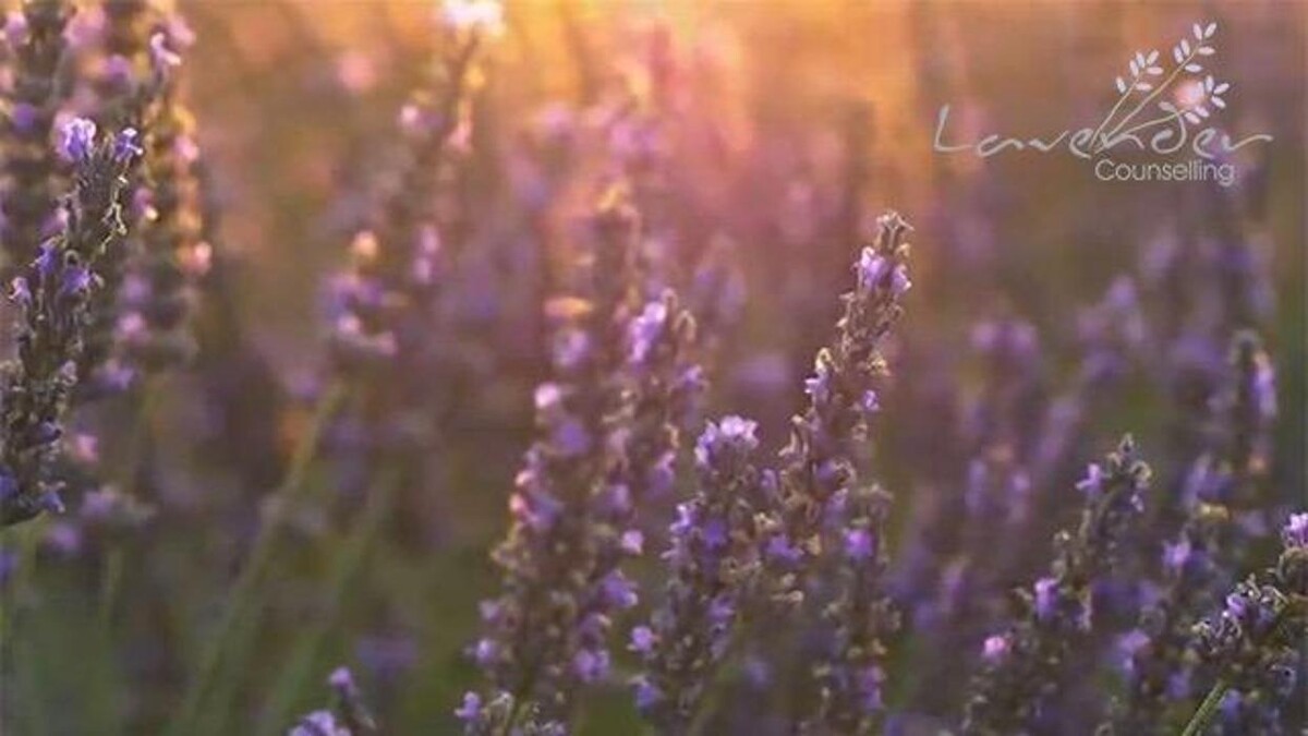Images Lavender Counselling