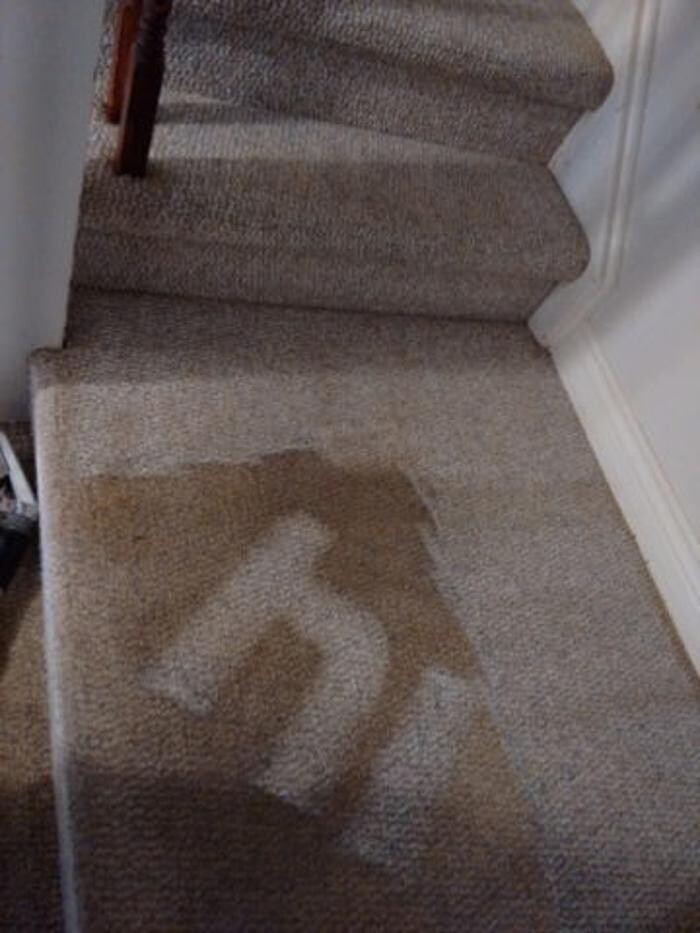 Images Professional Deep Steam Carpet & Upholstery