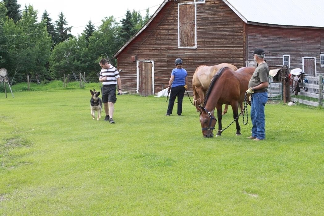 Images Dog Squad - Calgary Dog Trainer