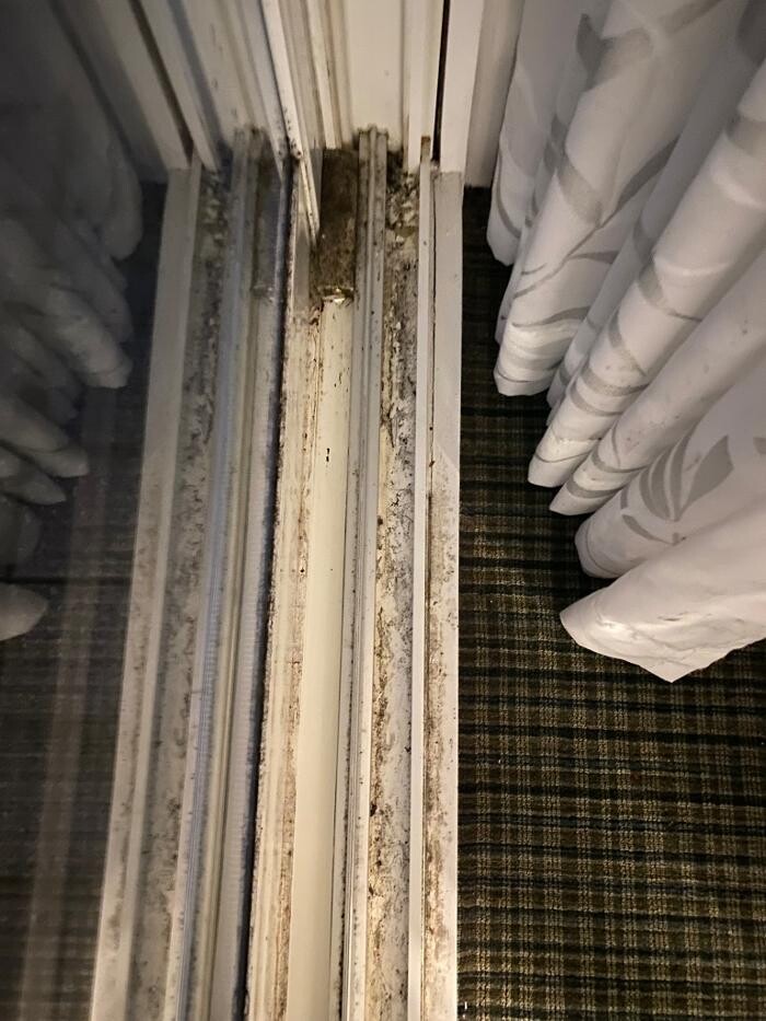 Images Voila Cleaning Services
