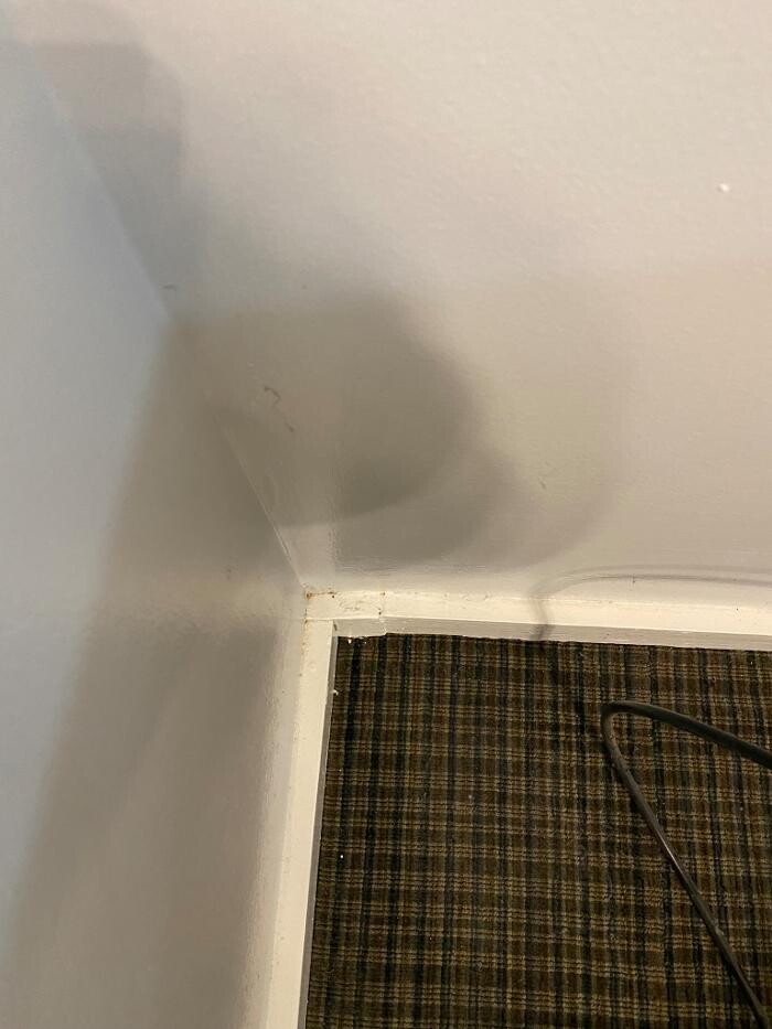Images Voila Cleaning Services