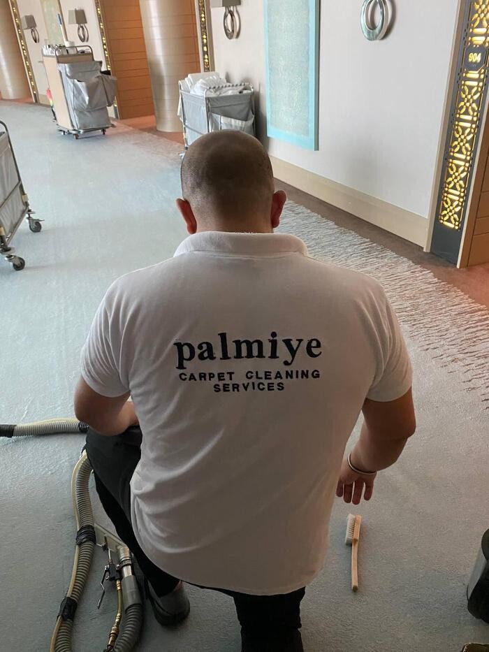 Images Palmiye Upholstery & Carpet Cleaning