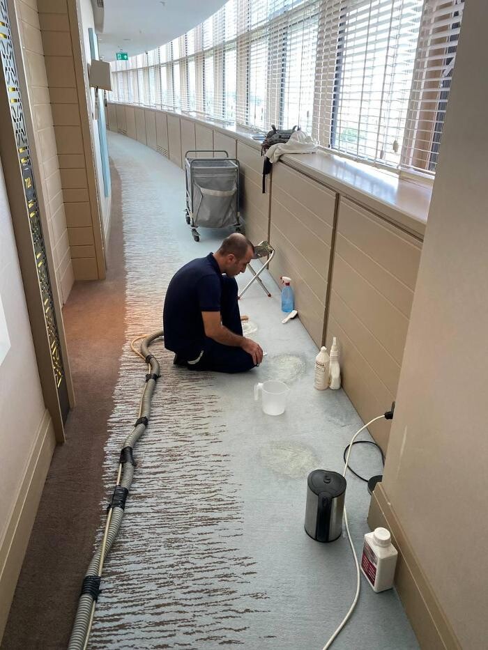 Images Palmiye Upholstery & Carpet Cleaning