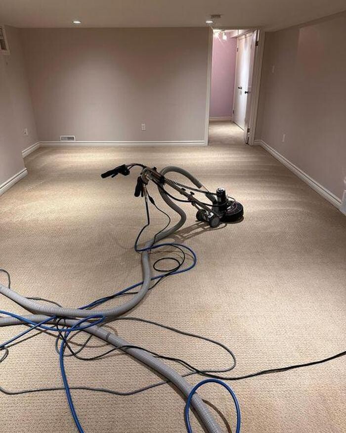 Images Palmiye Upholstery & Carpet Cleaning