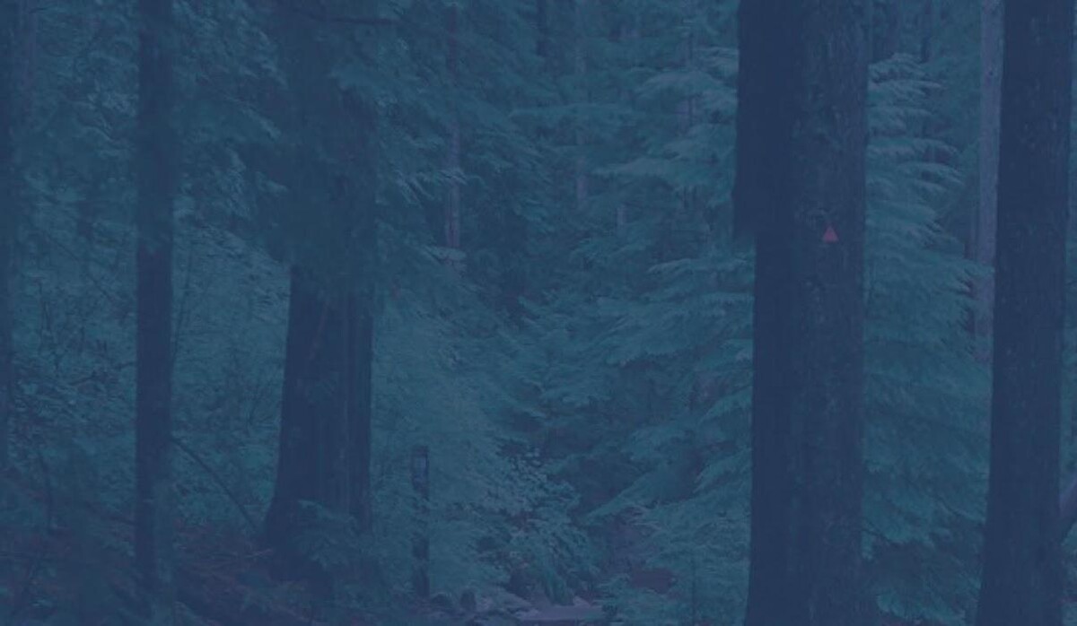 Images Lakes, Whyte LLP