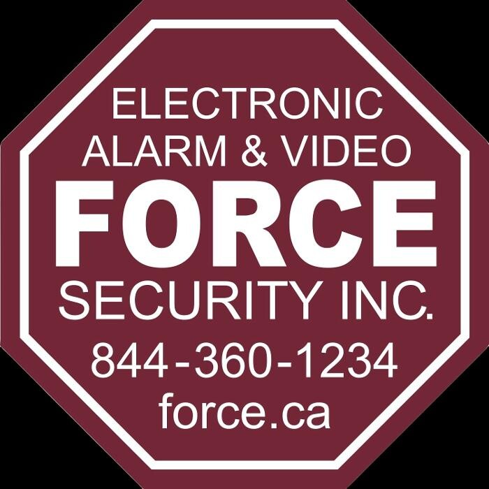 Force Security Inc Logo
