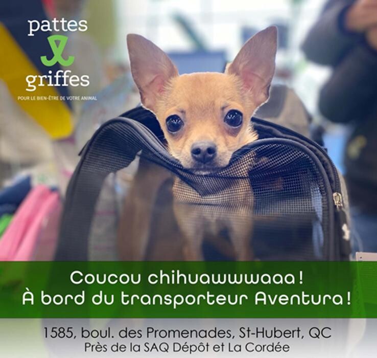 Images Pattes Et Griffes Saint-Hubert