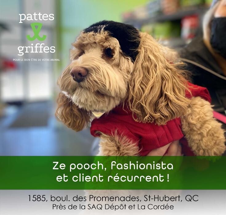 Images Pattes Et Griffes Saint-Hubert