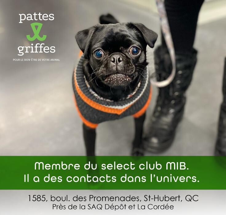 Images Pattes Et Griffes Saint-Hubert