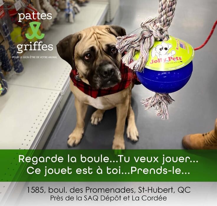 Images Pattes Et Griffes Saint-Hubert