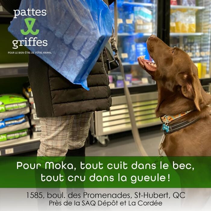 Images Pattes Et Griffes Saint-Hubert