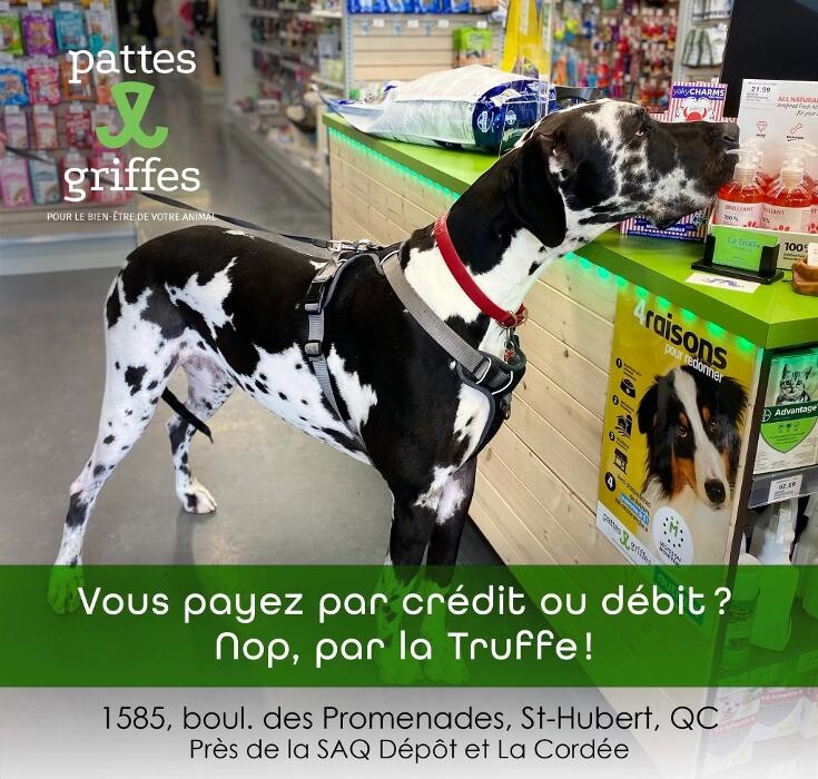Images Pattes Et Griffes Saint-Hubert