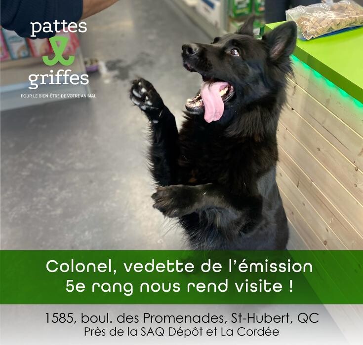 Images Pattes Et Griffes Saint-Hubert