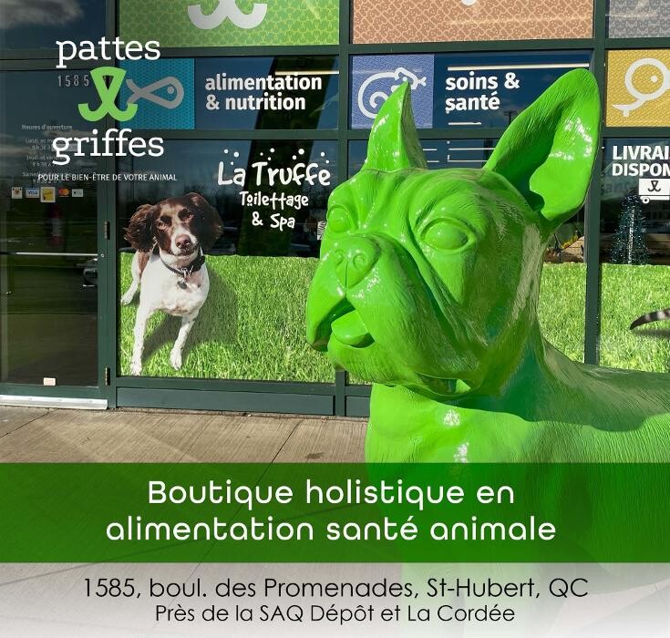 Images Pattes Et Griffes Saint-Hubert