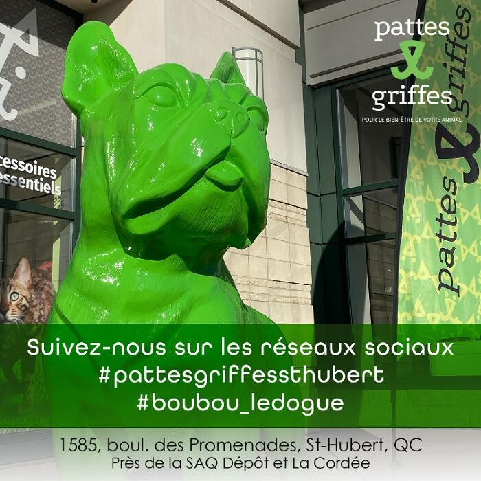 Images Pattes Et Griffes Saint-Hubert