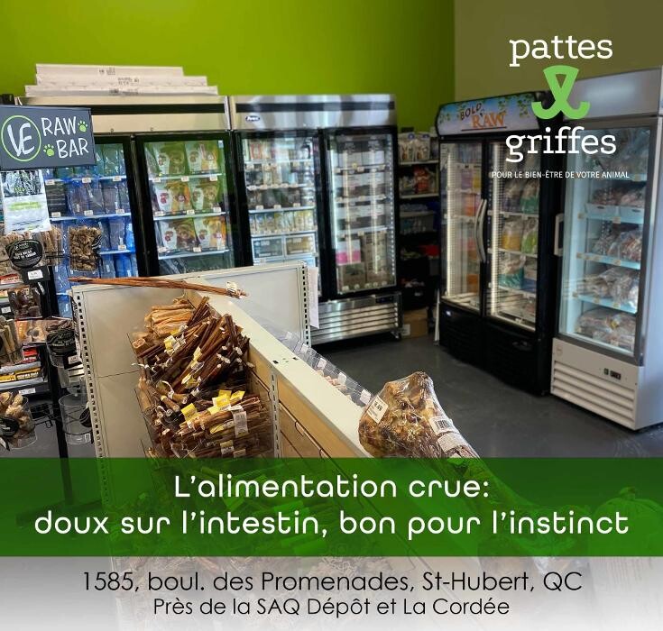 Images Pattes Et Griffes Saint-Hubert