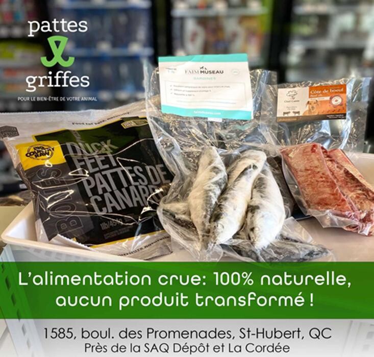 Images Pattes Et Griffes Saint-Hubert