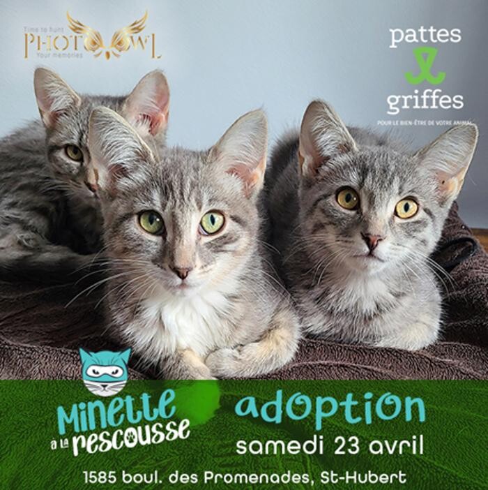 Images Pattes Et Griffes Saint-Hubert
