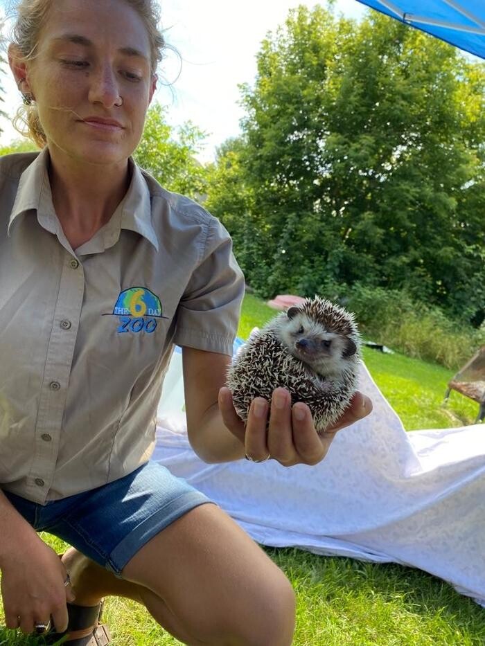 Images The 6 Day Zoo