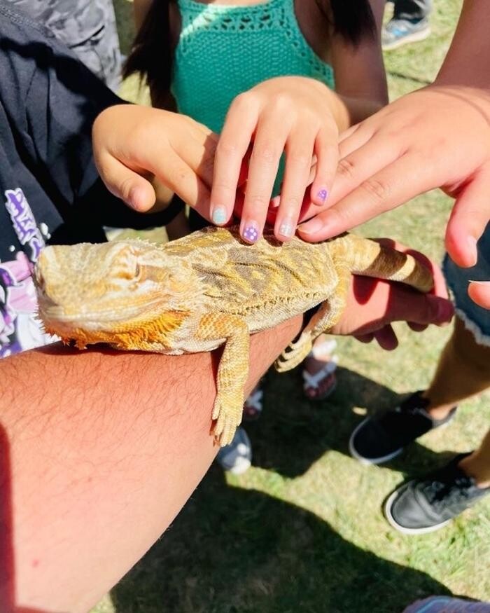 Images The 6 Day Zoo