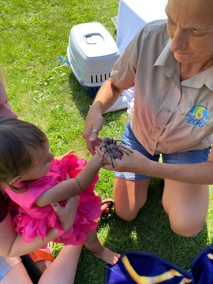 Images The 6 Day Zoo