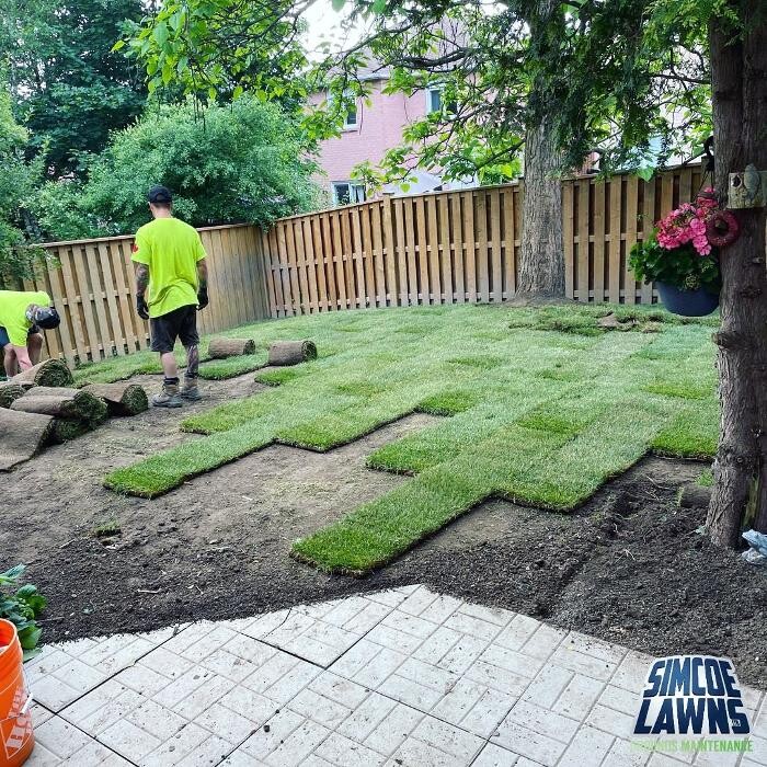 Images Simcoe Lawns Ltd