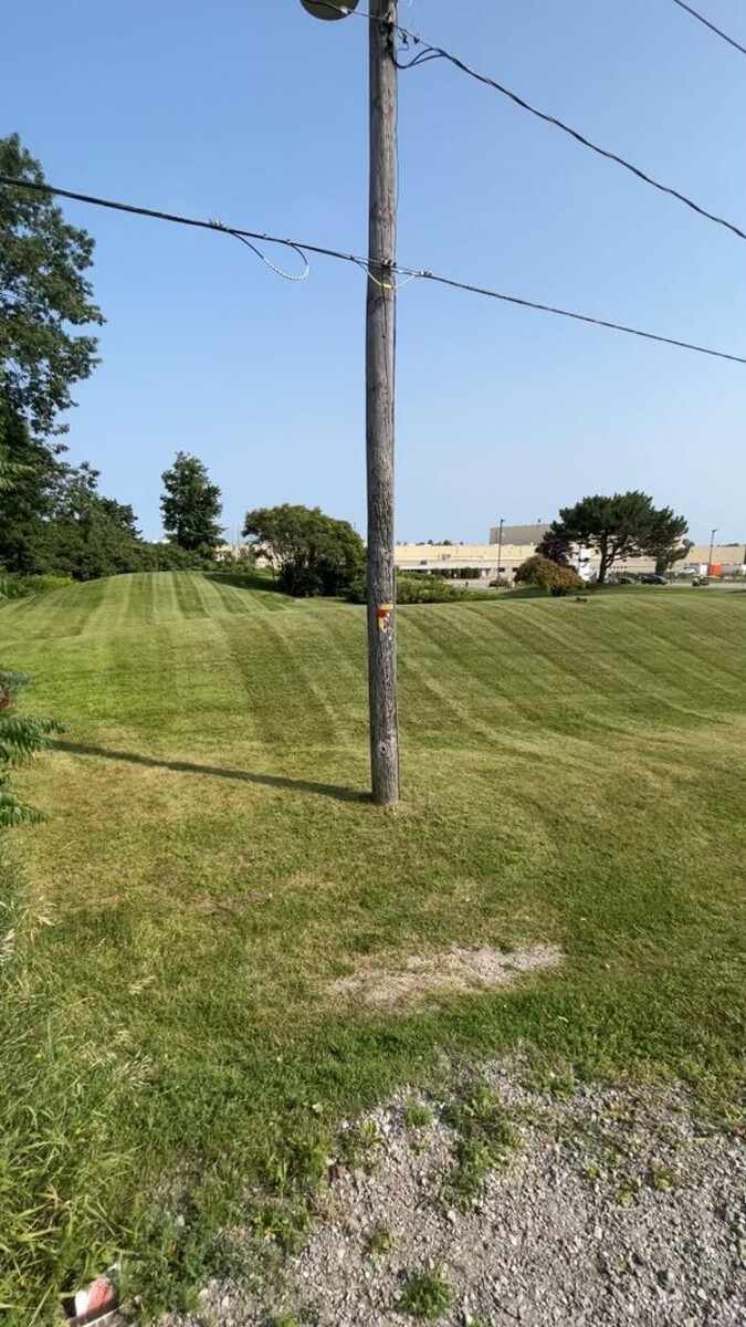 Images Simcoe Lawns Ltd