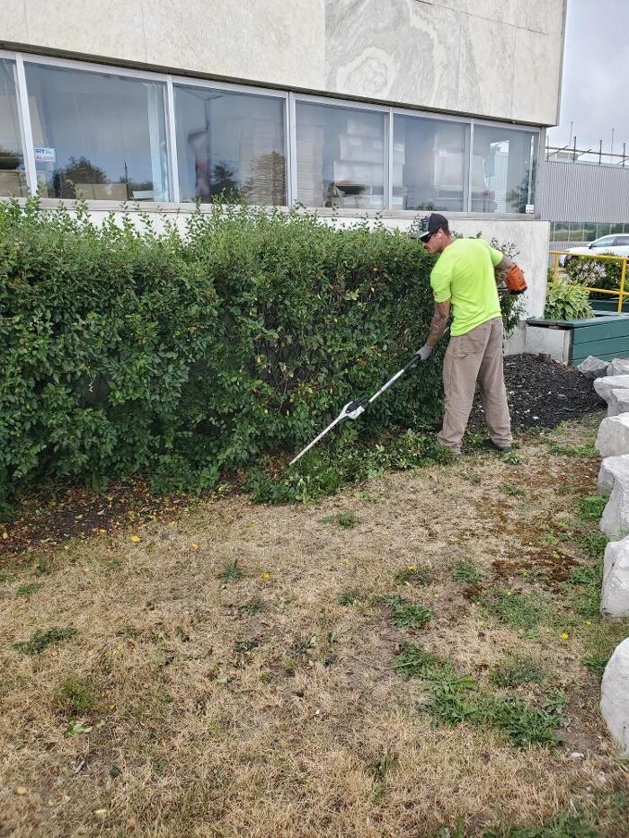 Images Simcoe Lawns Ltd