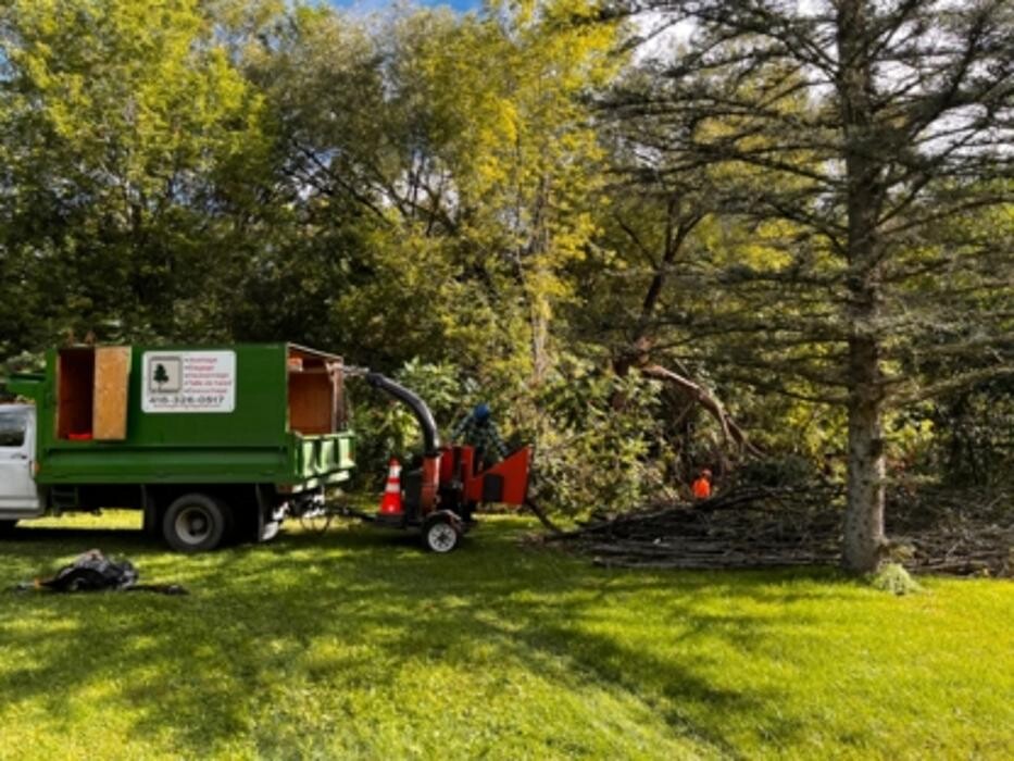 Images Arboriculture St-Germain